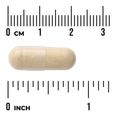 Artichoke Extract - Standardized