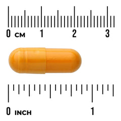 Curcumin Complex - Standardized with BioPerine
