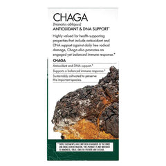 Chaga