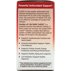 RAW CoQ10