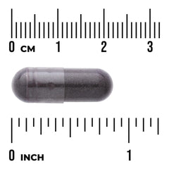 Black Currant Extract
