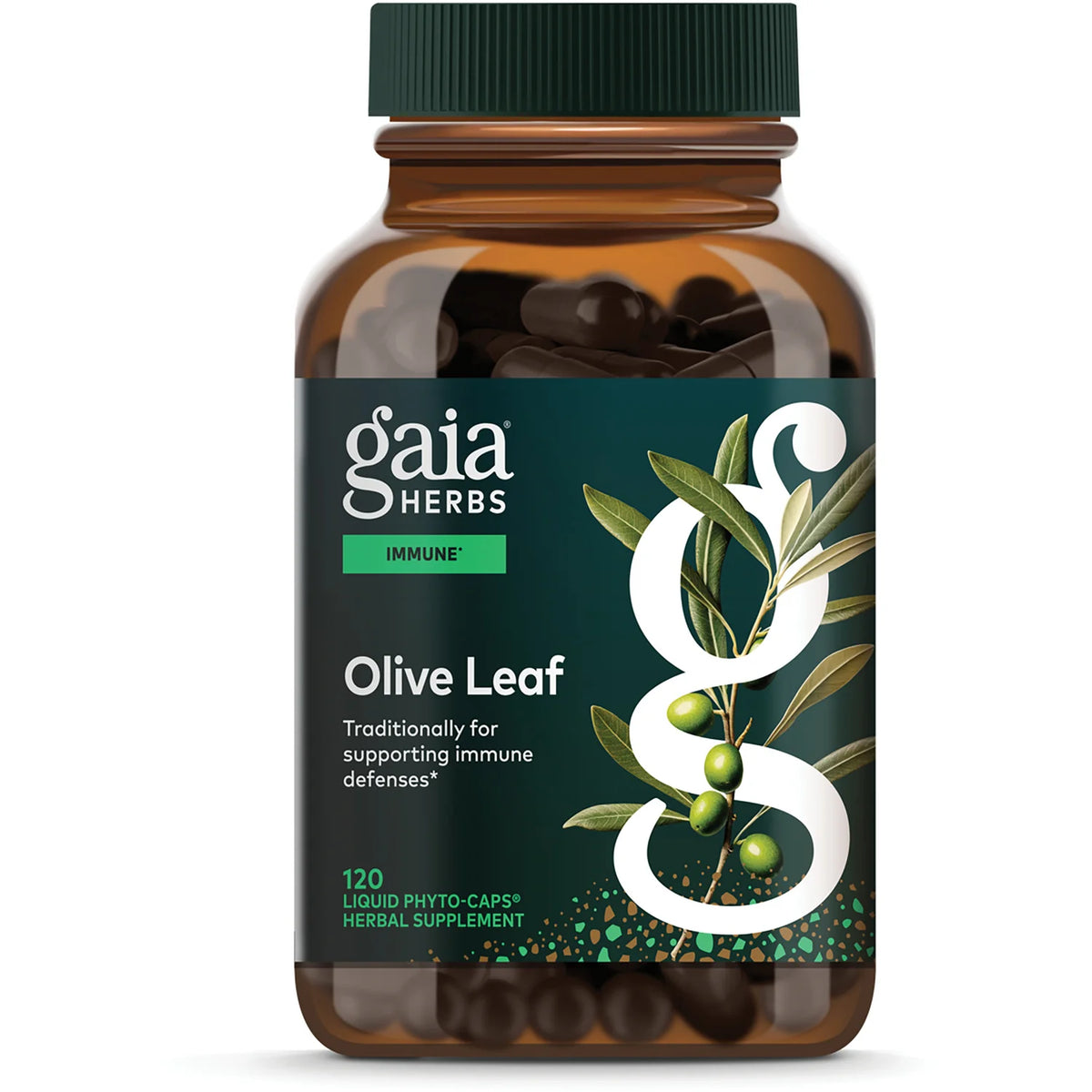 Olive Leaf