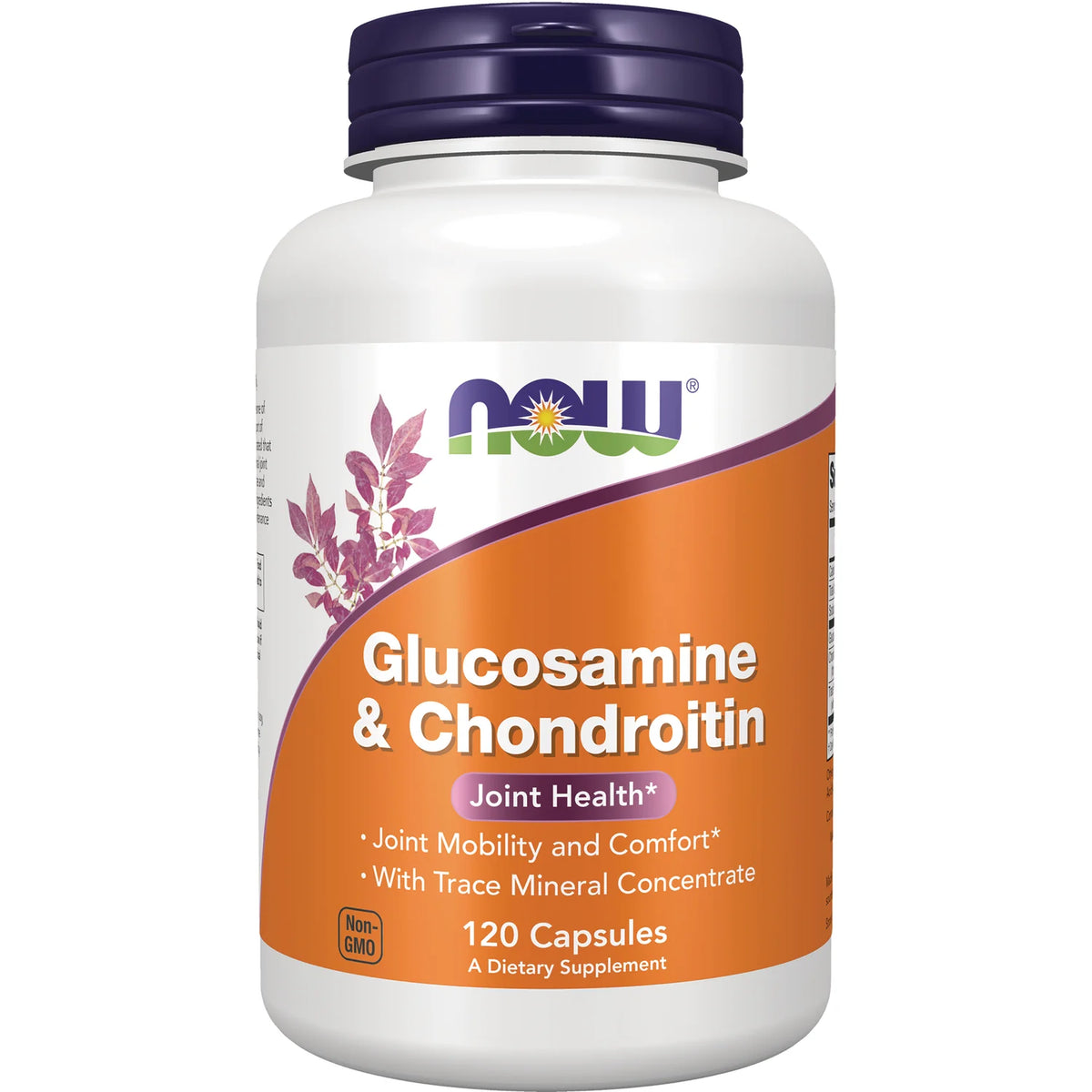 Glucosamine & Chondroitin