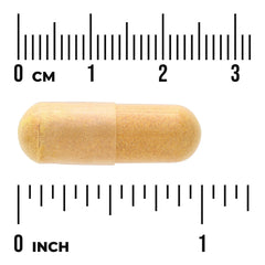 Full Spectrum Turmeric, Boswellia & Tart Cherry