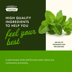 Full Spectrum Spearmint Leaf