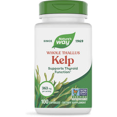 Whole Thallus Kelp