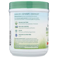 Raw Organic Perfect Food Green Superfood - Apple
