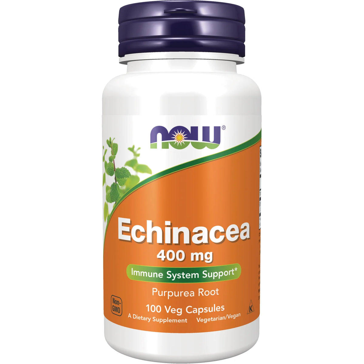 Echinacea