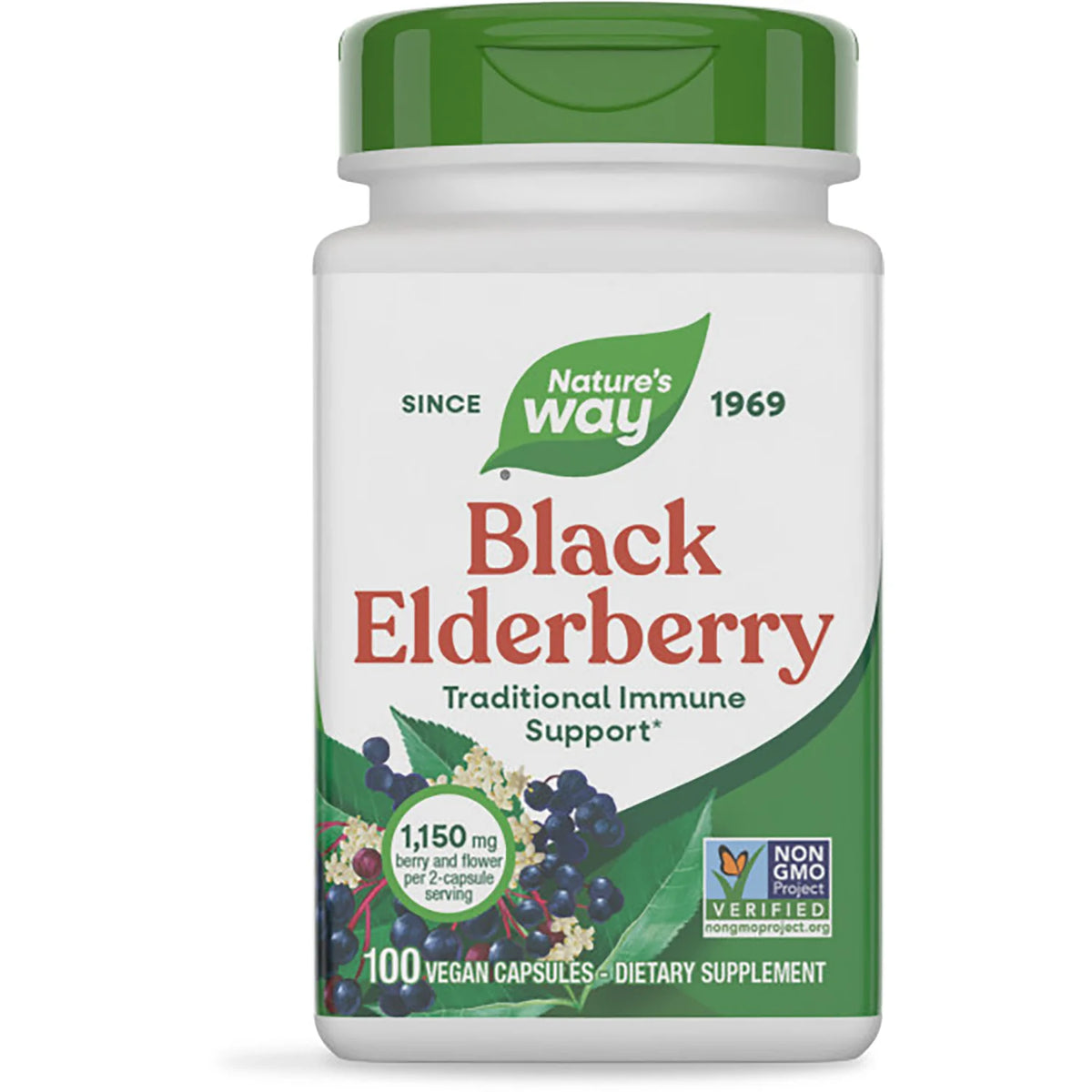 Black Elderberry