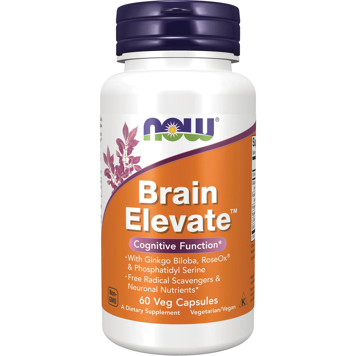 Brain Elevate