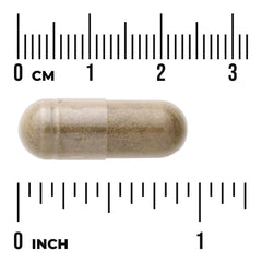 Cinnamon Gymnema Mulberry Complex - 3-in-1 Formula