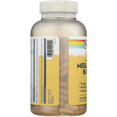 Timed Release Mega Vitamin B-Stress