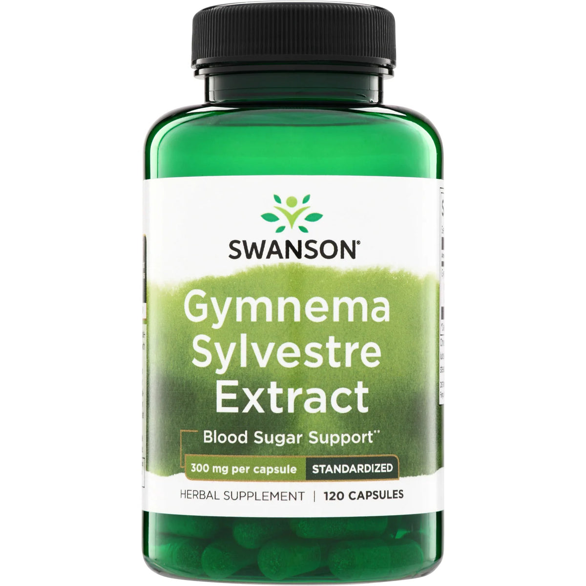 Gymnema Sylvestre Extract - Standardized