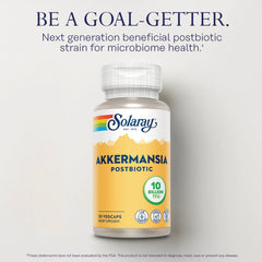 Akkermansia Postbiotic