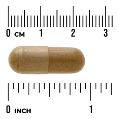 Full Spectrum Turmeric, Astragalus & Gotu Kola Complex