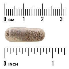 Full Spectrum Chia Seed
