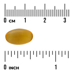 Saw Palmetto