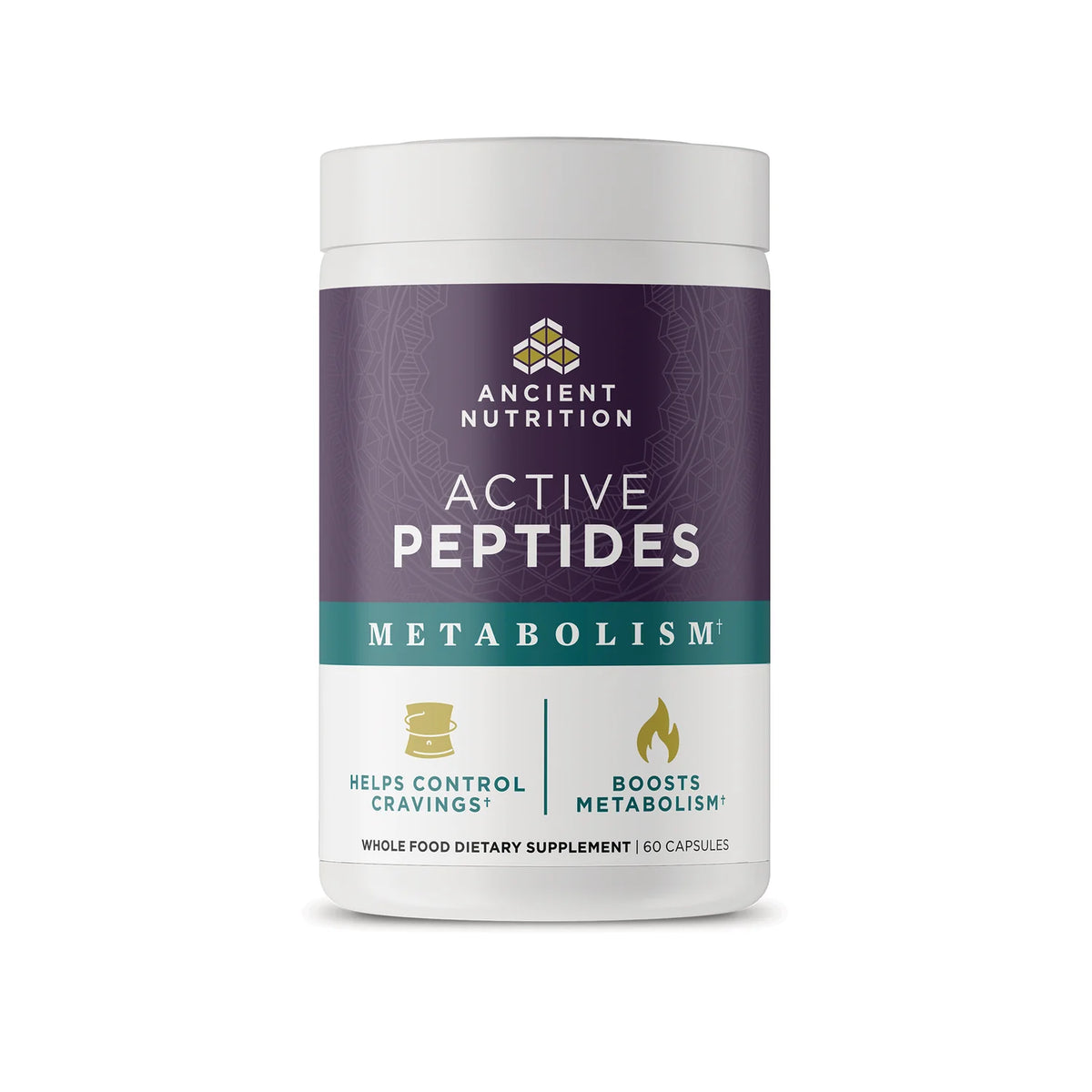 Active Peptides Metabolism