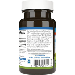 CoQ10