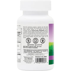 Animal Parade AcidophiKidz Children's Chewable Probiotic - Berry