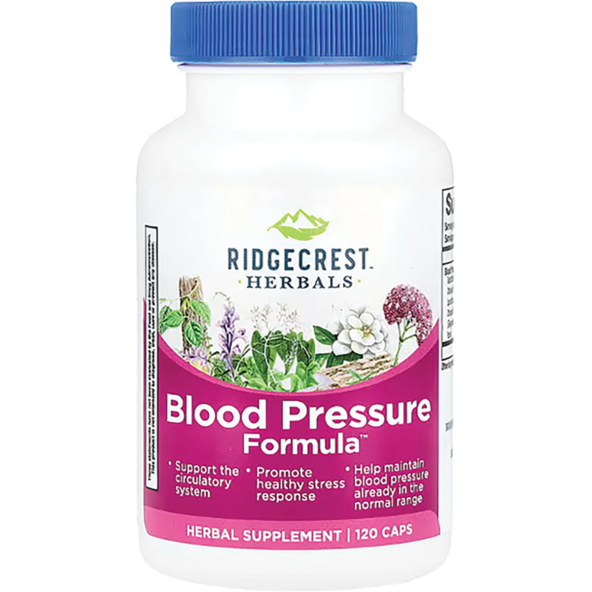 Blood Pressure Formula