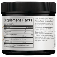 CBD Gummies - Red Raspberry