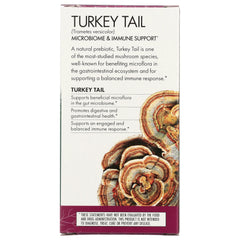 Turkey Tail