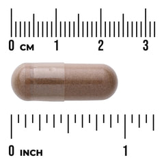 Herbal Prostate Complex