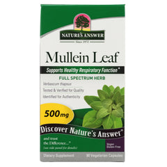 Mullein Leaf