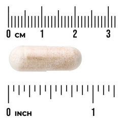 Hydrangea Root Extract - 4:1 Extract