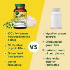 Superfood Mushroom Focus Support