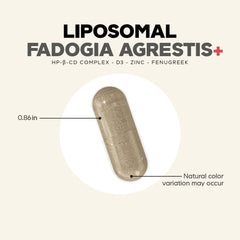 Liposomal Fadogia Agrestis+