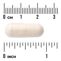 Boswellia Serrata - Whole Herb & Standardized Extract