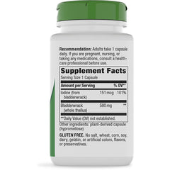 Whole Thallus Bladderwrack Plant-Based Iodine